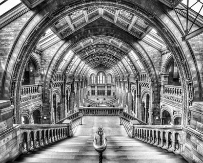 London Museum Hall