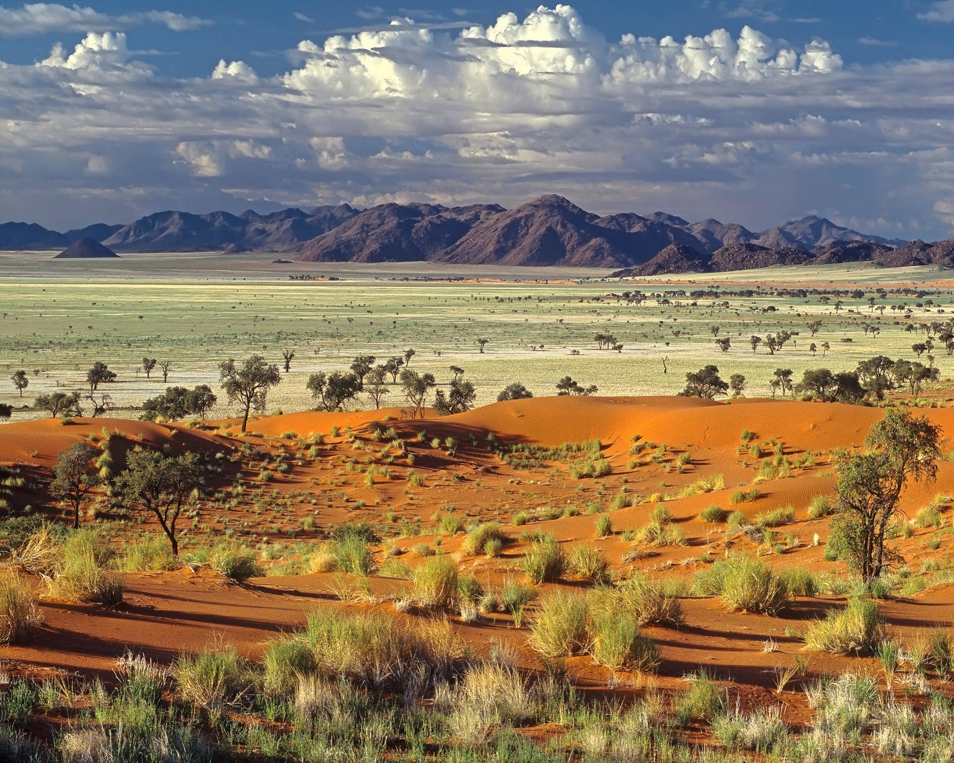 Namib Desert Landscape
