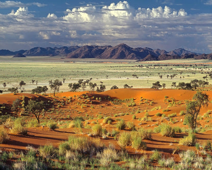 Namib Desert Landscape