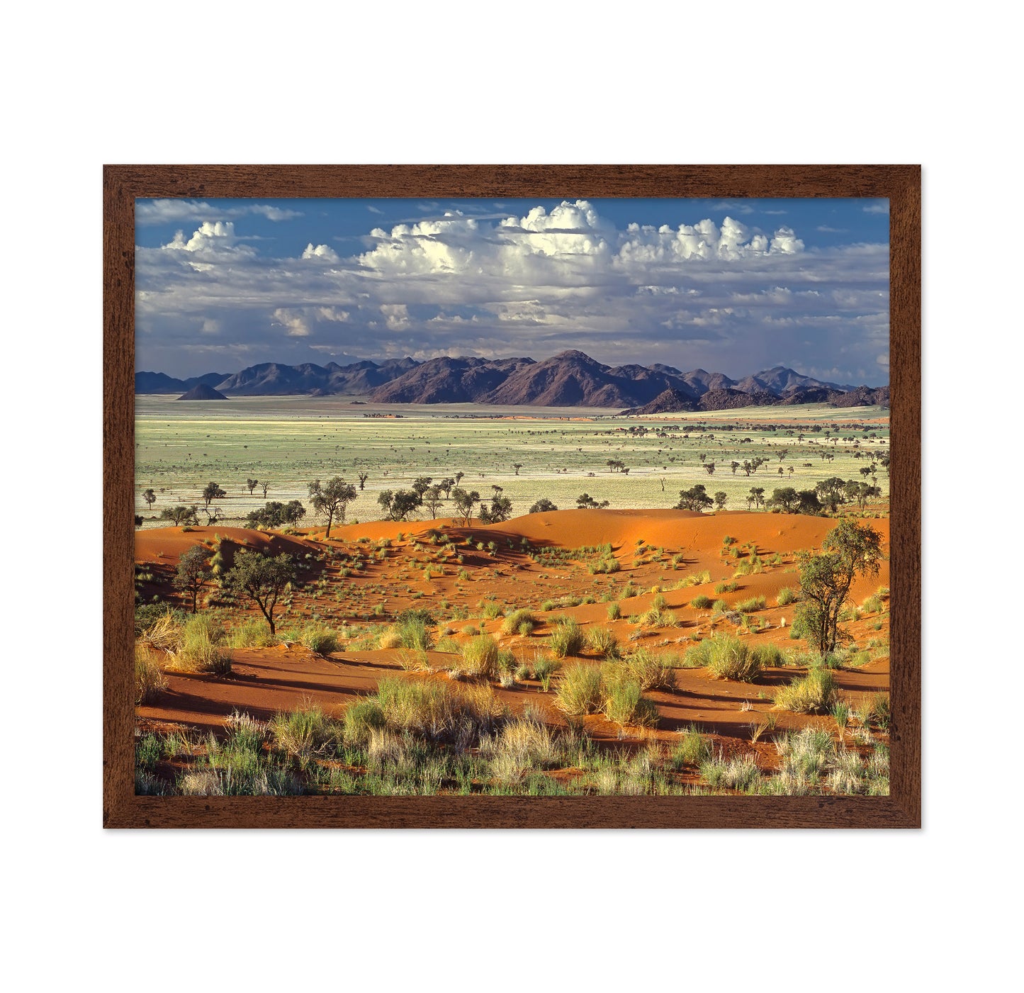 Namib Desert Landscape