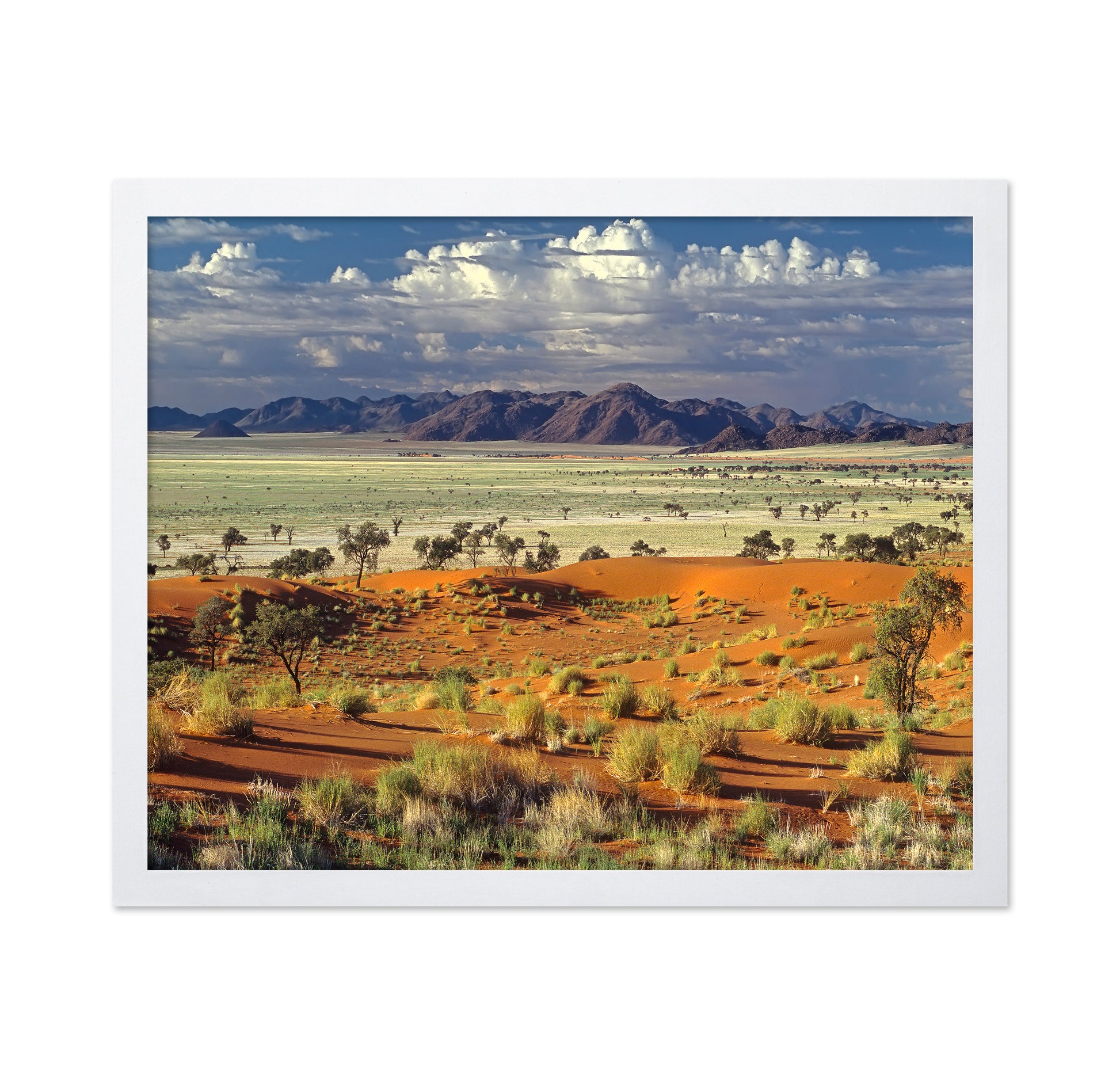 Namib Desert Landscape
