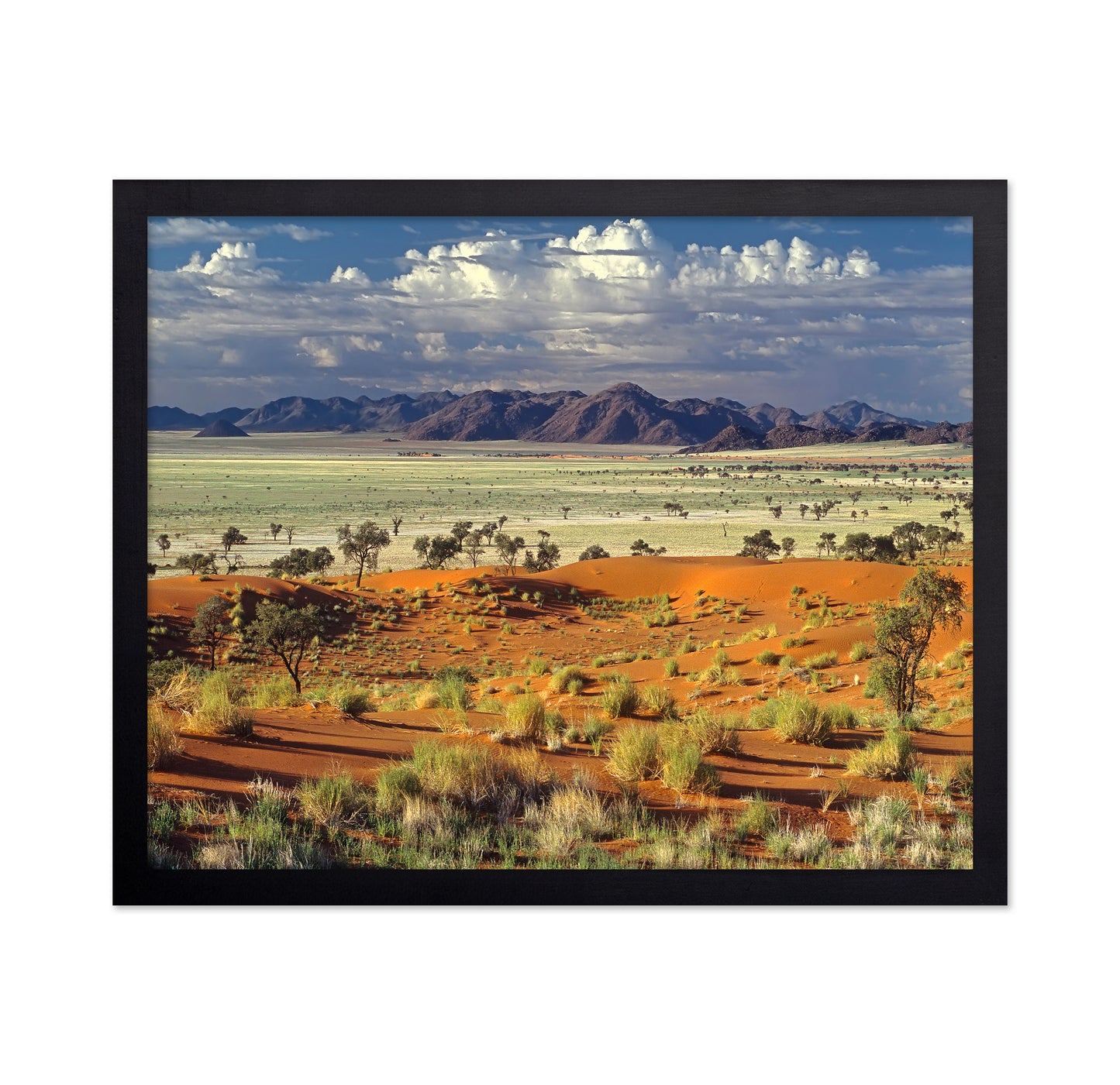 Namib Desert Landscape