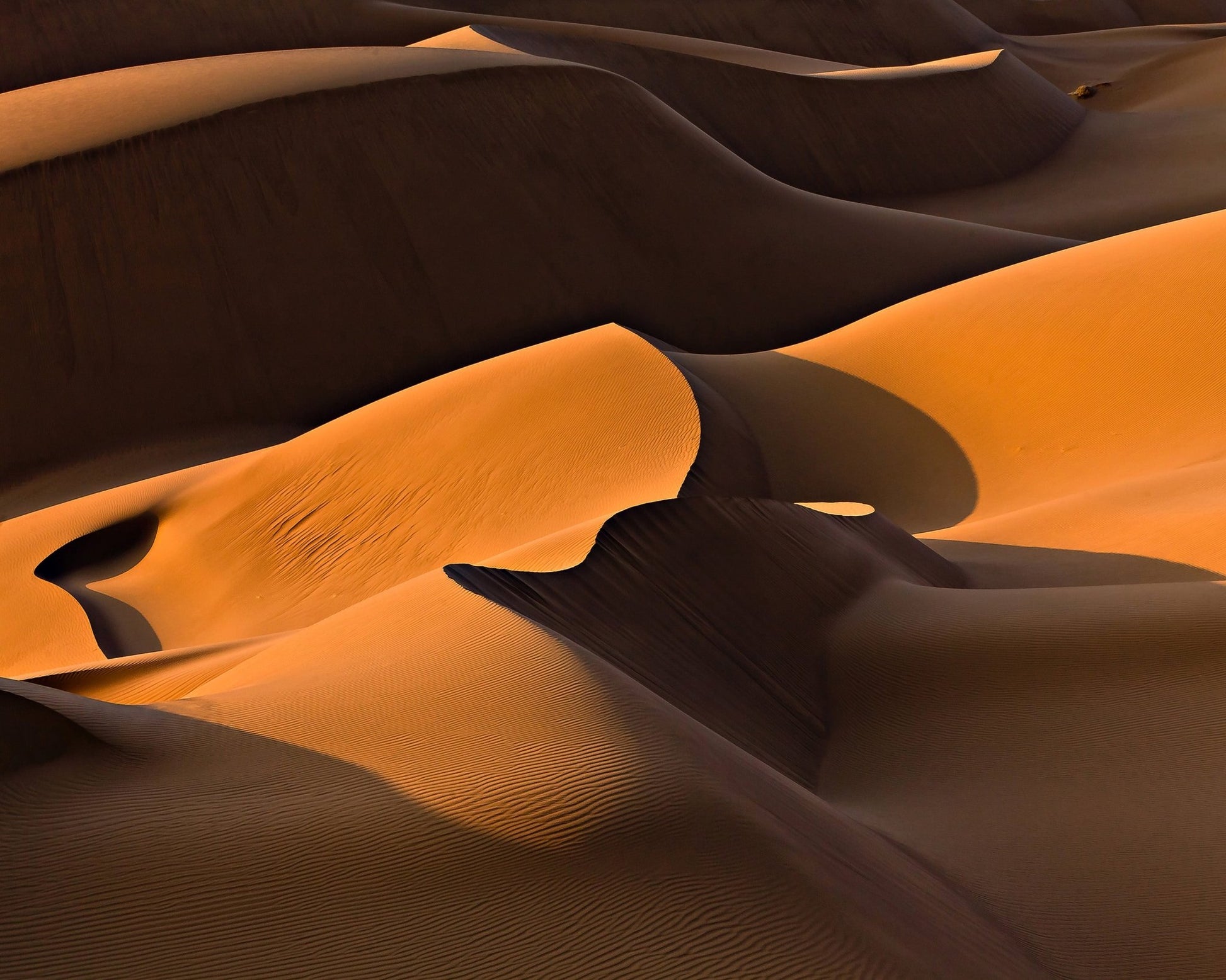 Desert Dunes Morning Light