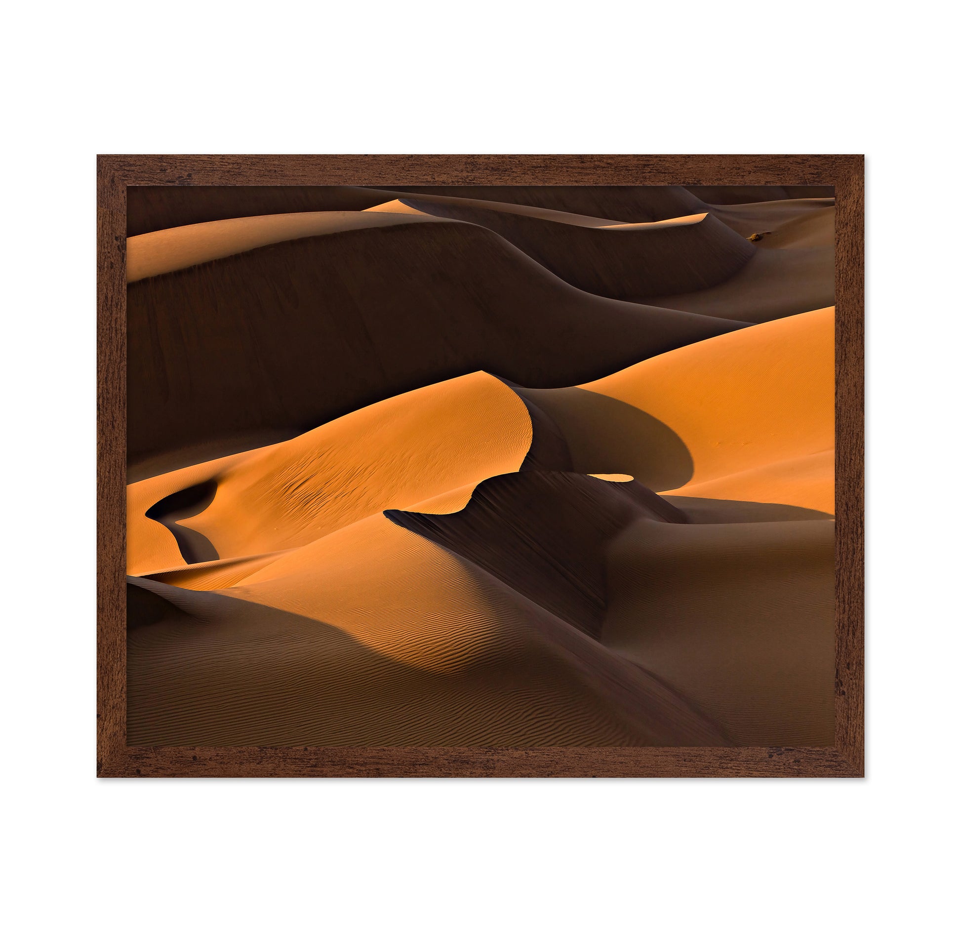 Desert Dunes Morning Light