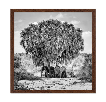 Elephants Under Palm Tree