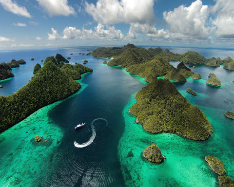 Tropical Island Aerial Paradise