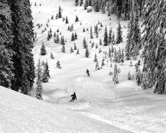 Backcountry Ski Freeriders