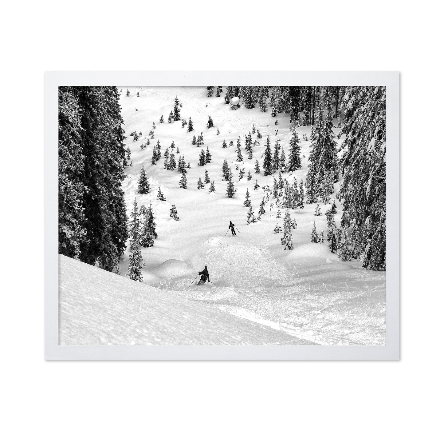 Backcountry Ski Freeriders