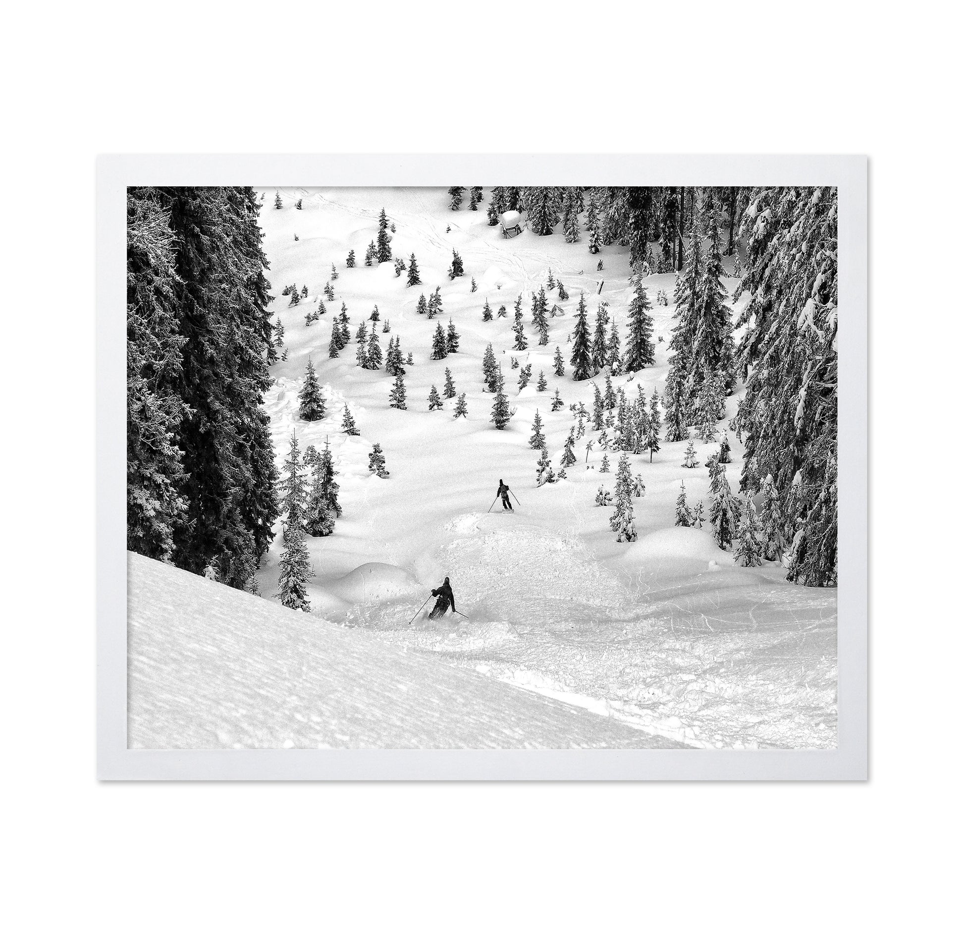 Backcountry Ski Freeriders