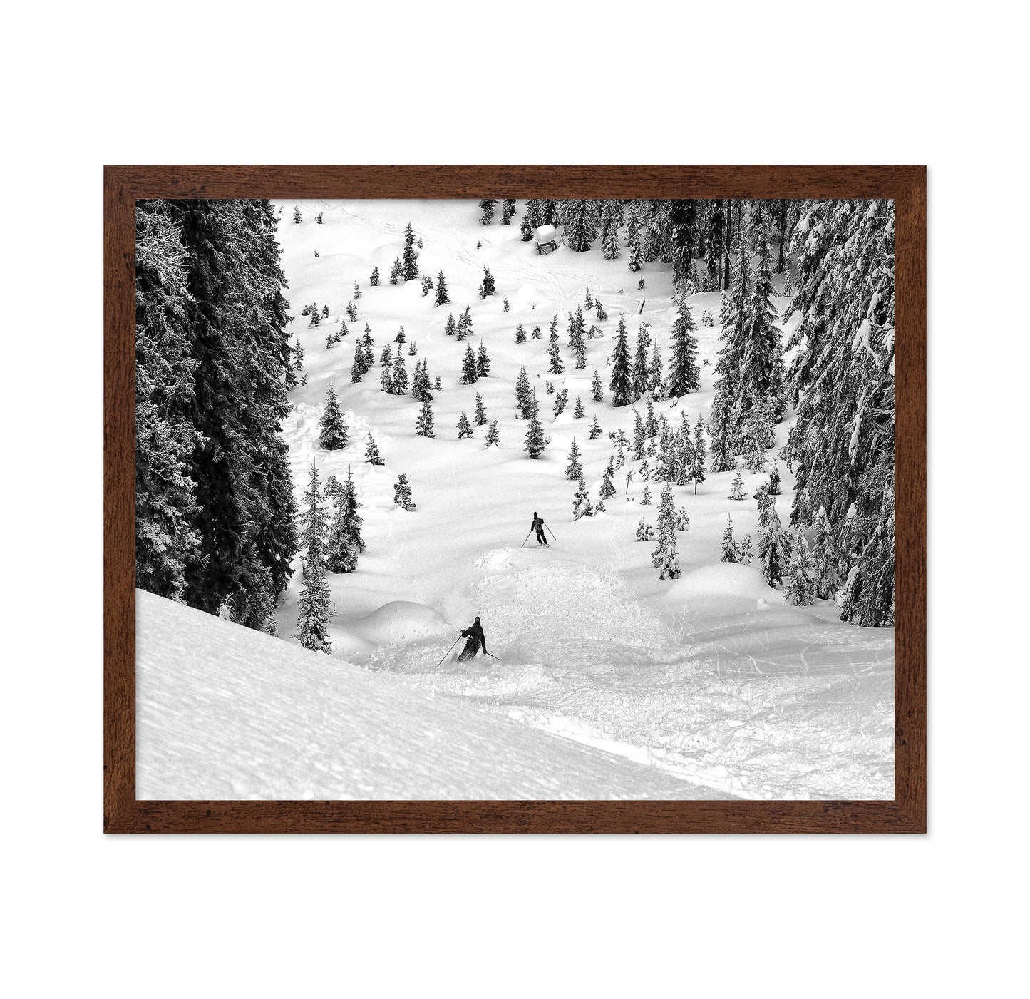 Backcountry Ski Freeriders