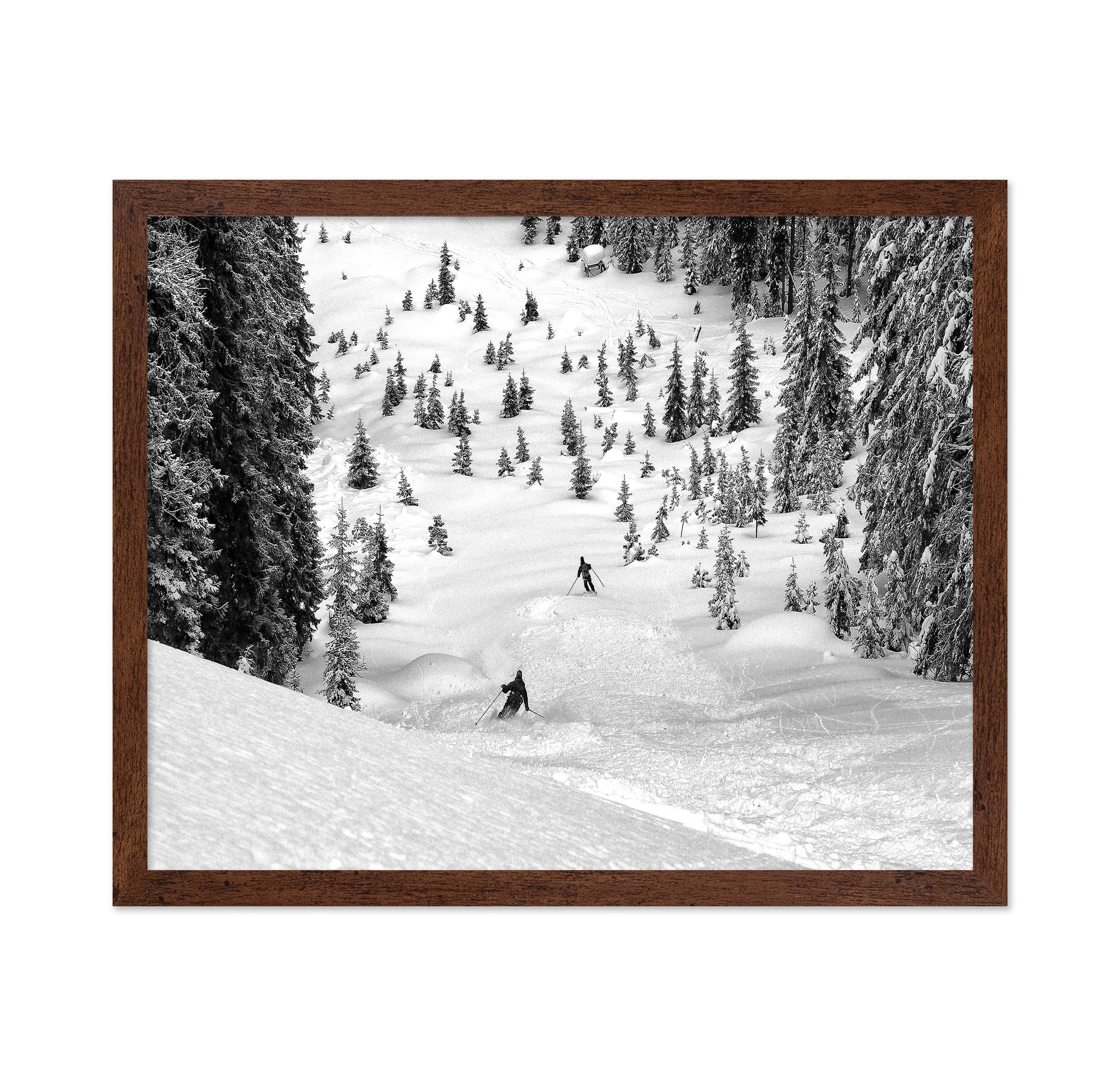 Backcountry Ski Freeriders
