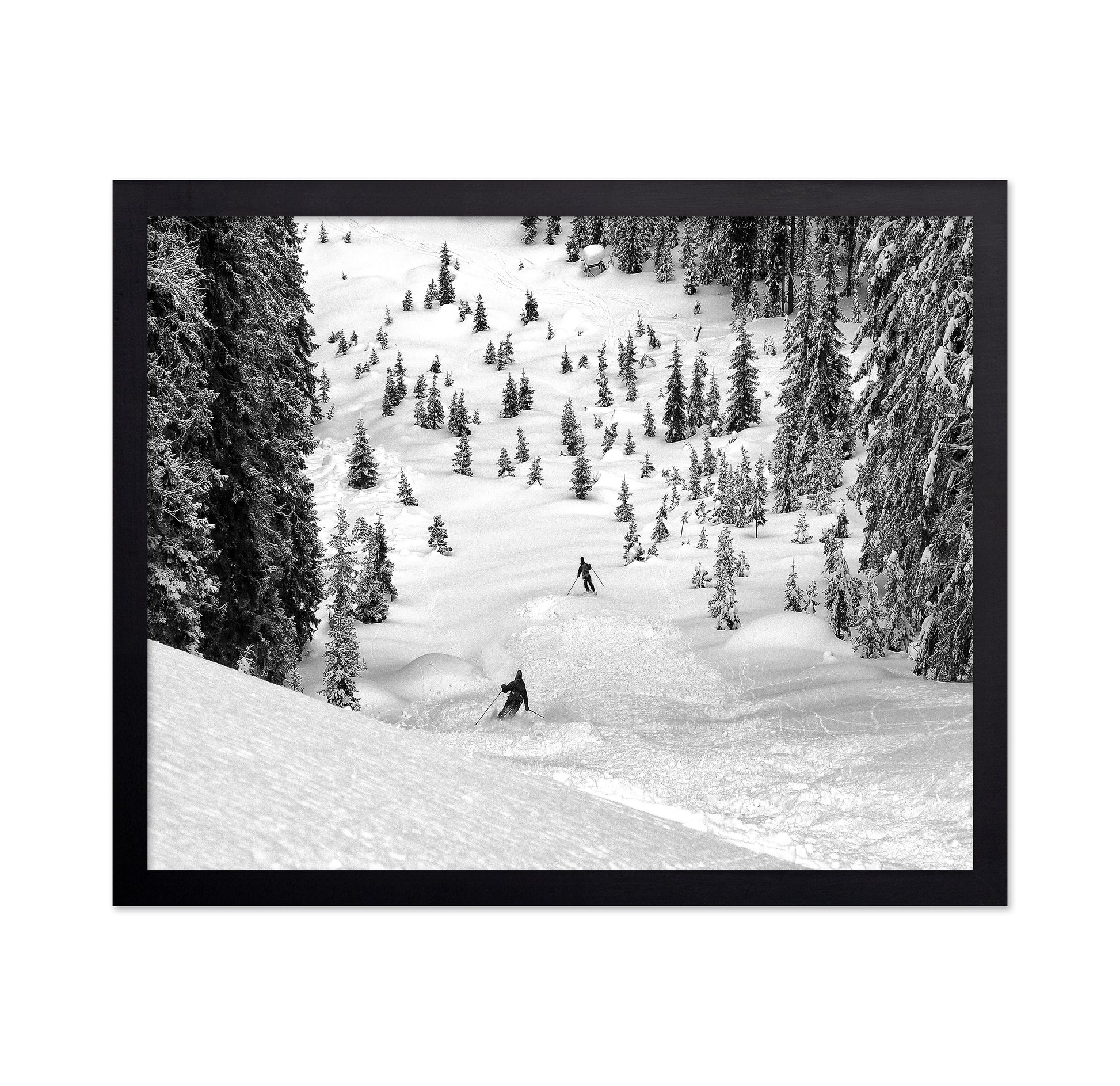 Backcountry Ski Freeriders