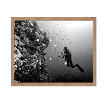 Reef Explorer