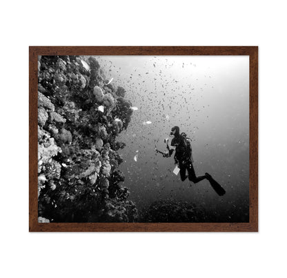 Reef Explorer