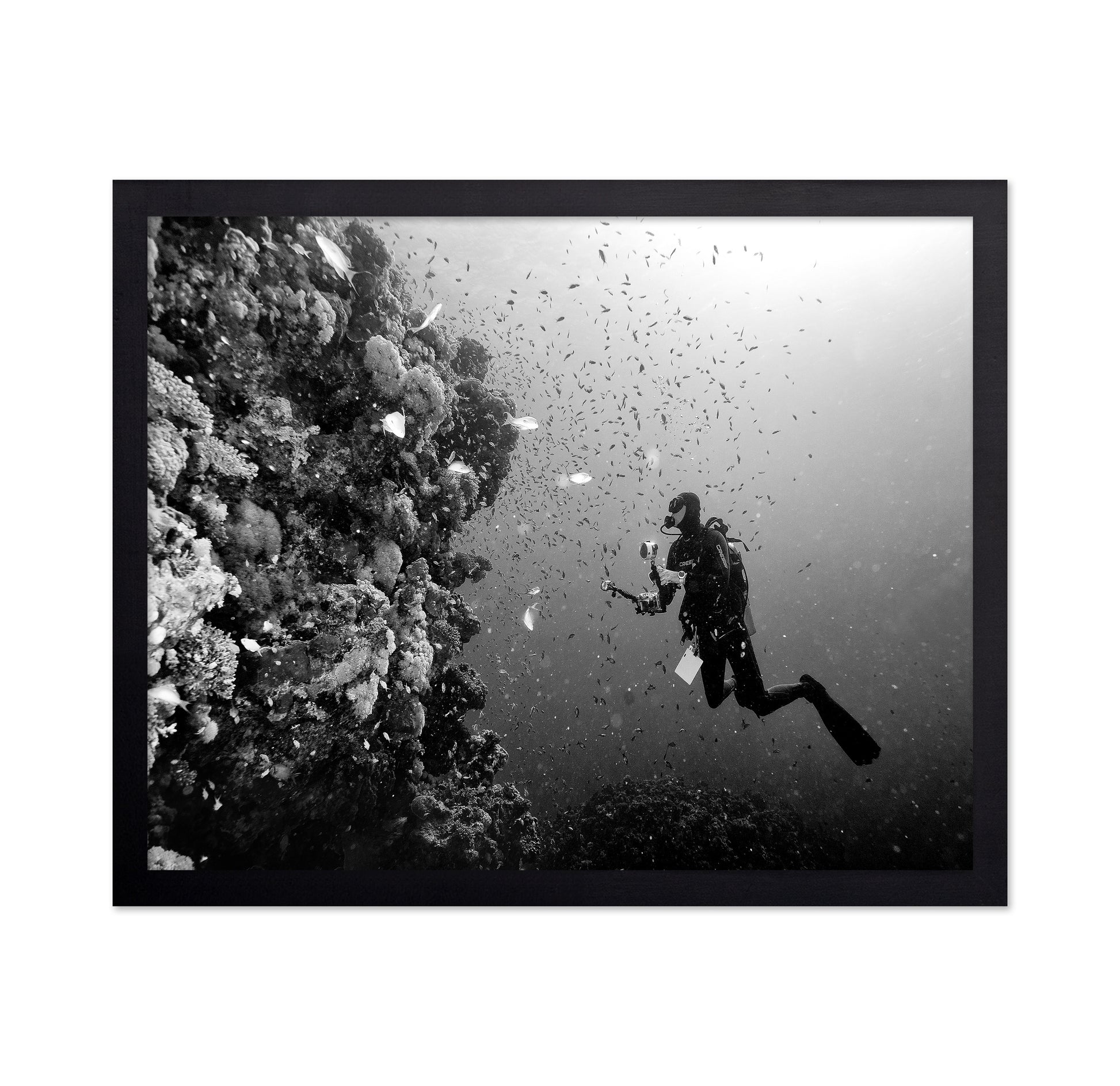 Reef Explorer