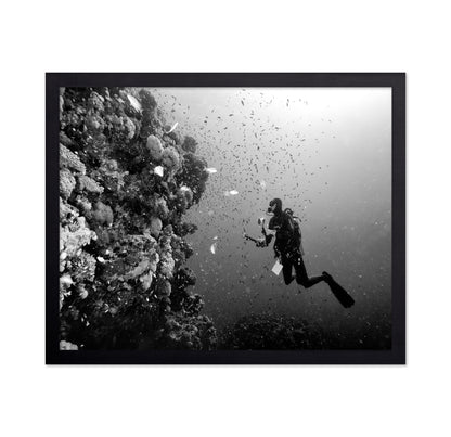 Reef Explorer
