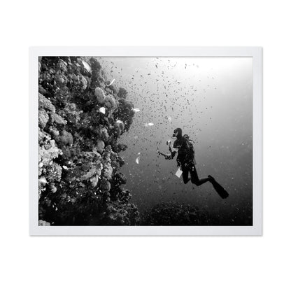 Reef Explorer