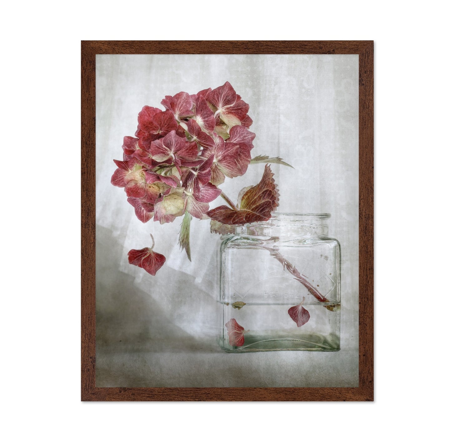 Pink Hydrangea Still Life