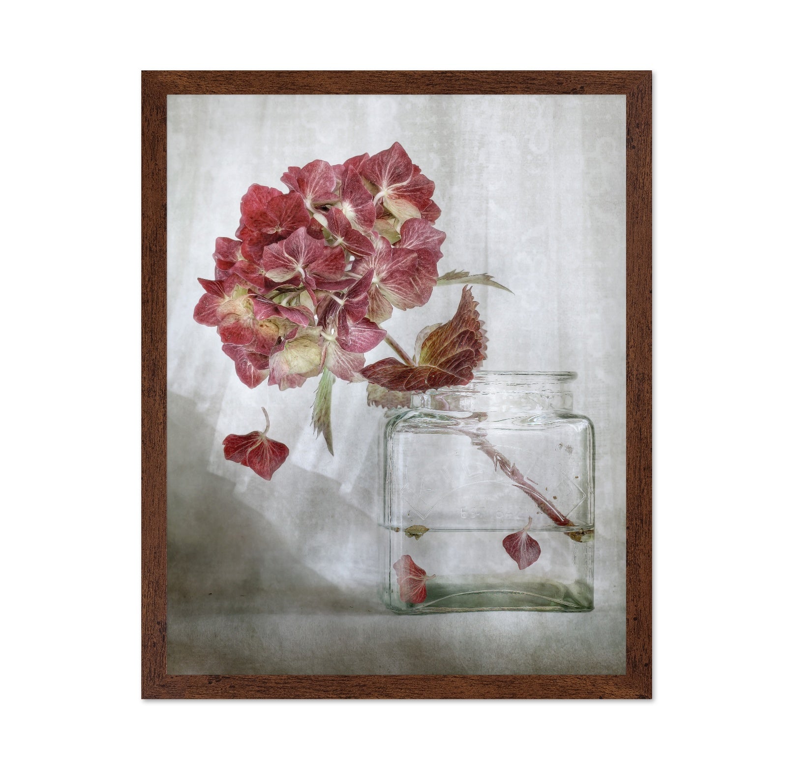 Pink Hydrangea Still Life