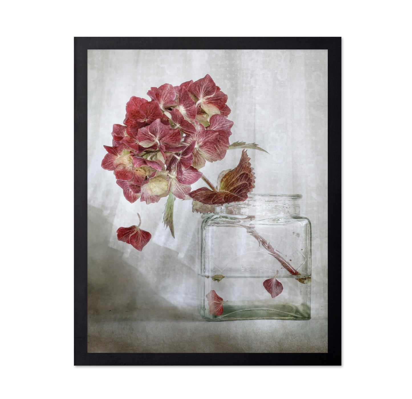 Pink Hydrangea Still Life