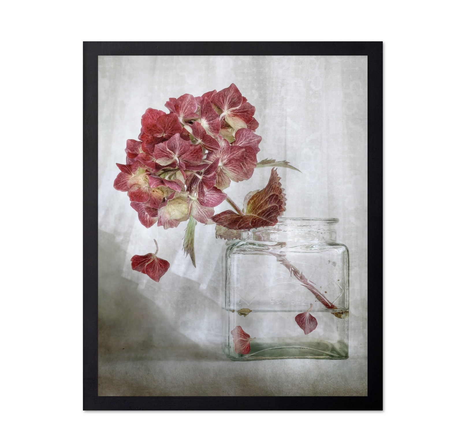 Pink Hydrangea Still Life