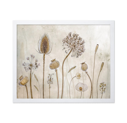 Dried Botanical Study No1