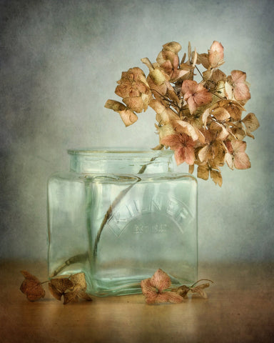 Vintage Hydrangea Still Life