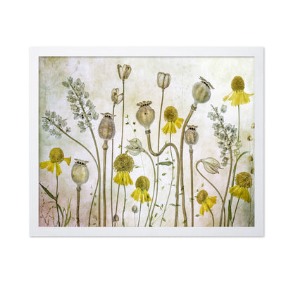 Wildflower Botanical Study