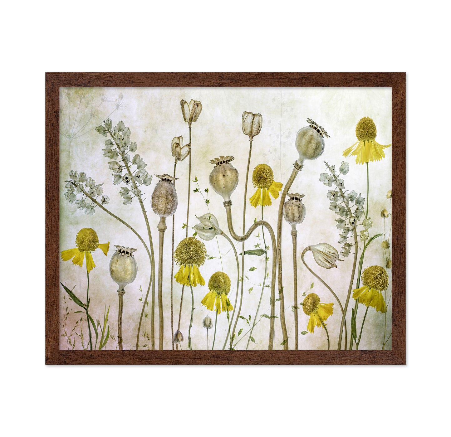 Wildflower Botanical Study