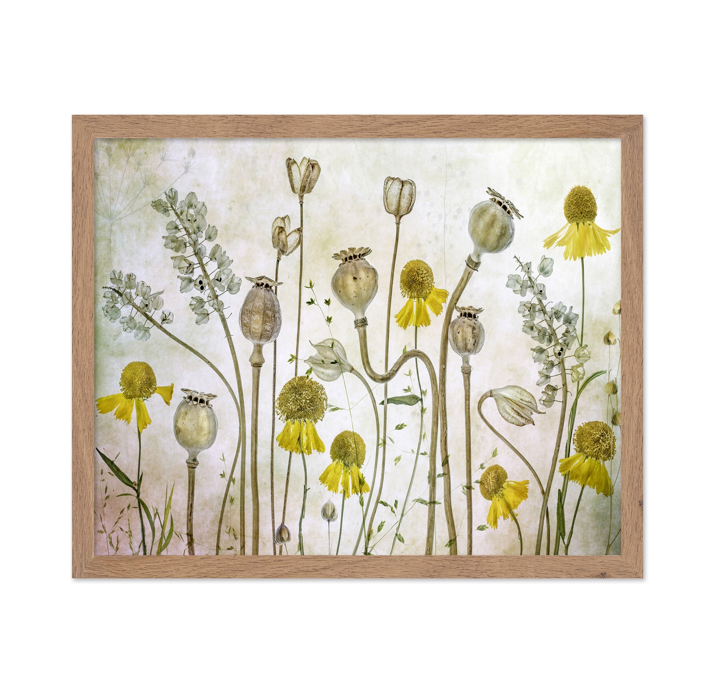 Wildflower Botanical Study