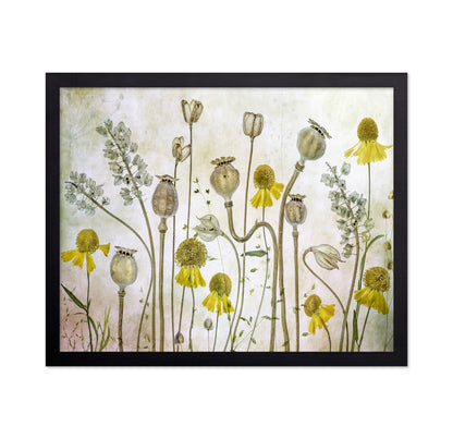 Wildflower Botanical Study