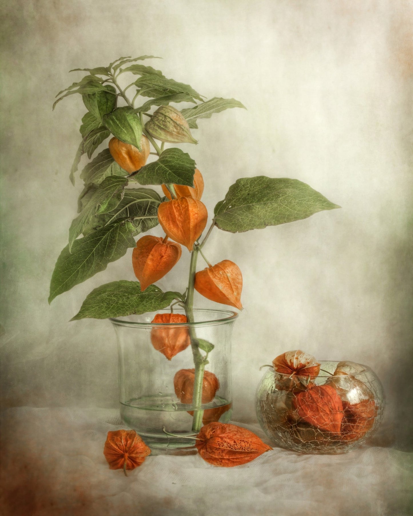 Orange Lantern Flowers
