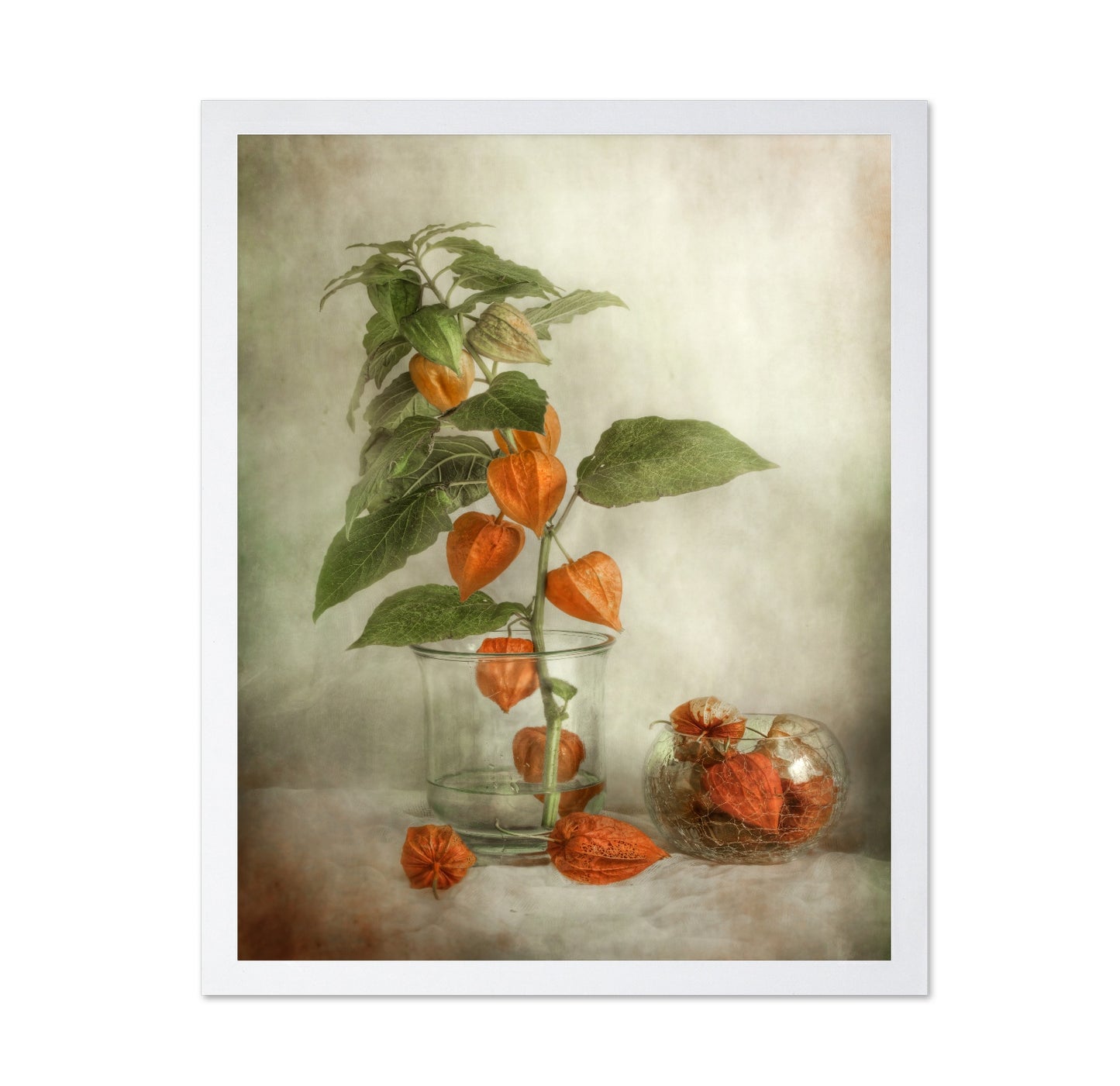 Orange Lantern Flowers
