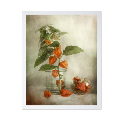 Orange Lantern Flowers