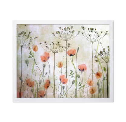 Soft Poppy Meadow