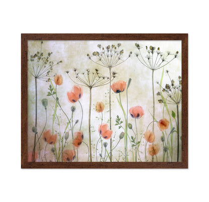 Soft Poppy Meadow