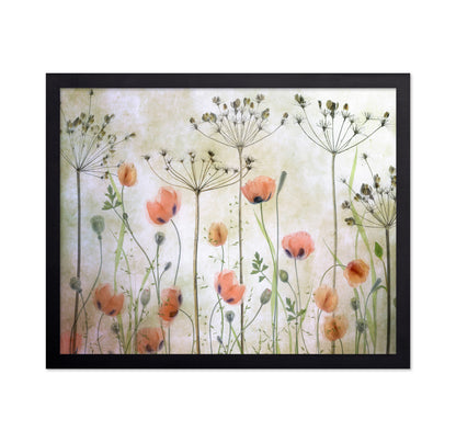 Soft Poppy Meadow