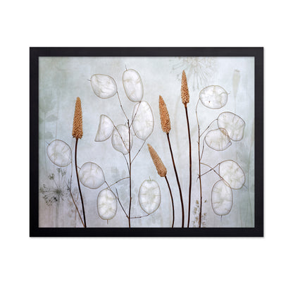 Silver Lunaria Stems