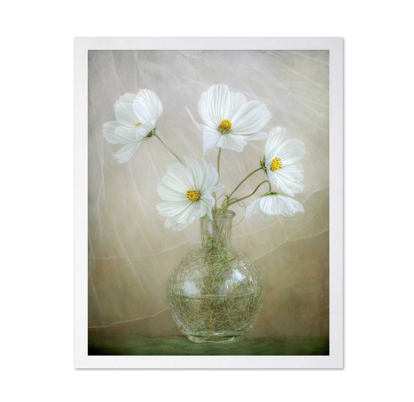 White Cosmos Bouquet