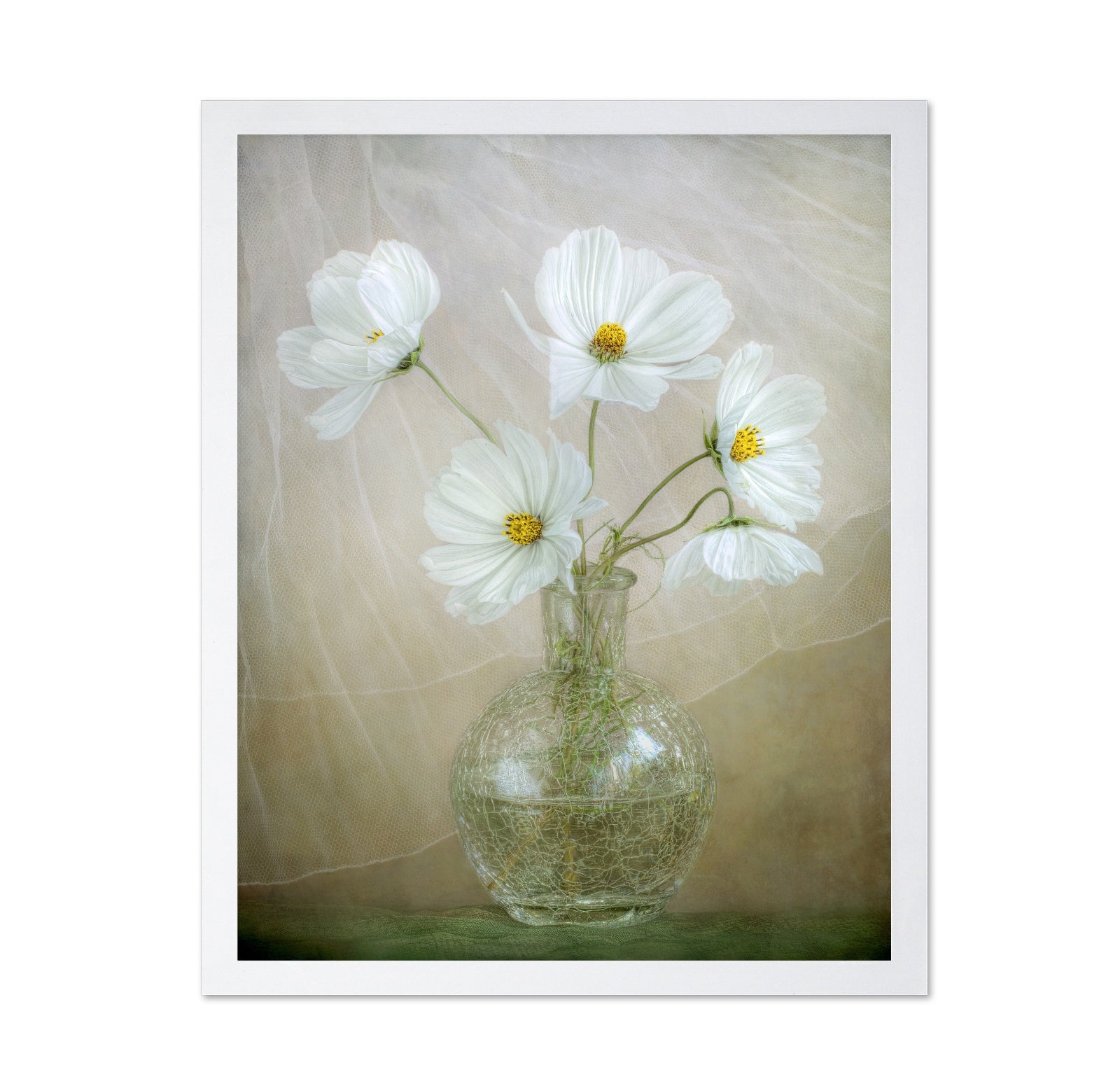 White Cosmos Bouquet
