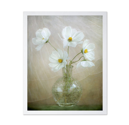 White Cosmos Bouquet