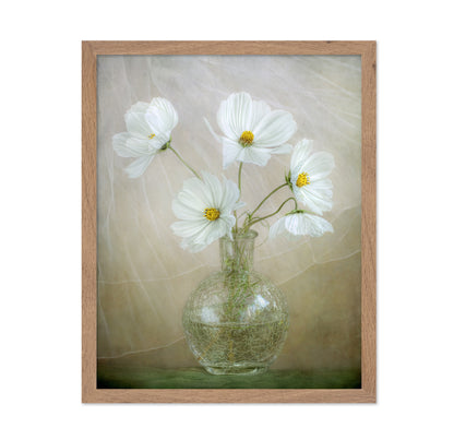 White Cosmos Bouquet