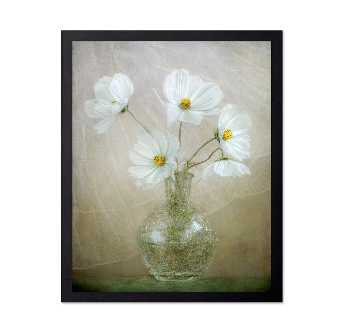 White Cosmos Bouquet
