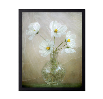 White Cosmos Bouquet