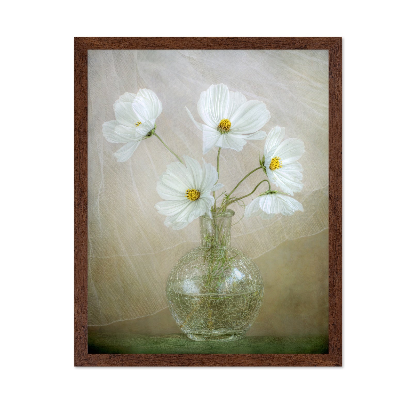 White Cosmos Bouquet