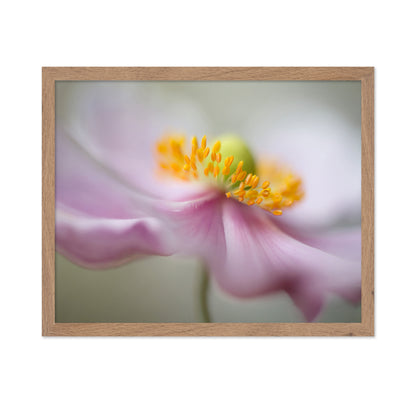 Dreamy Flower Macro