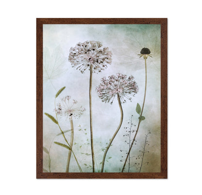 Allium Botanical Study