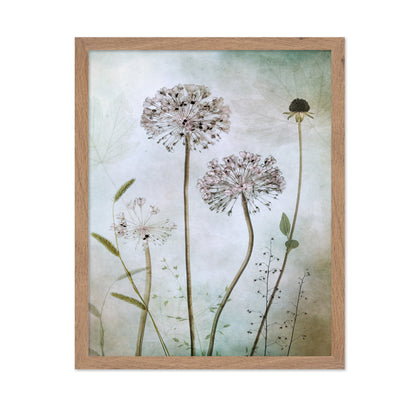 Allium Botanical Study