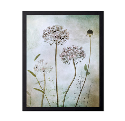 Allium Botanical Study