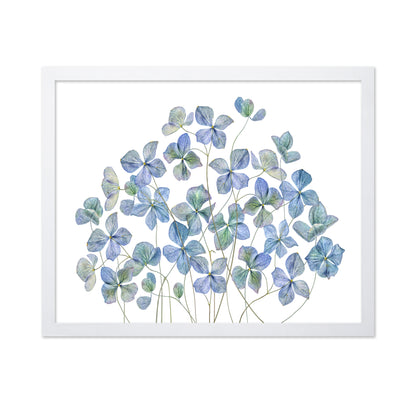 Blue Hydrangea Petals